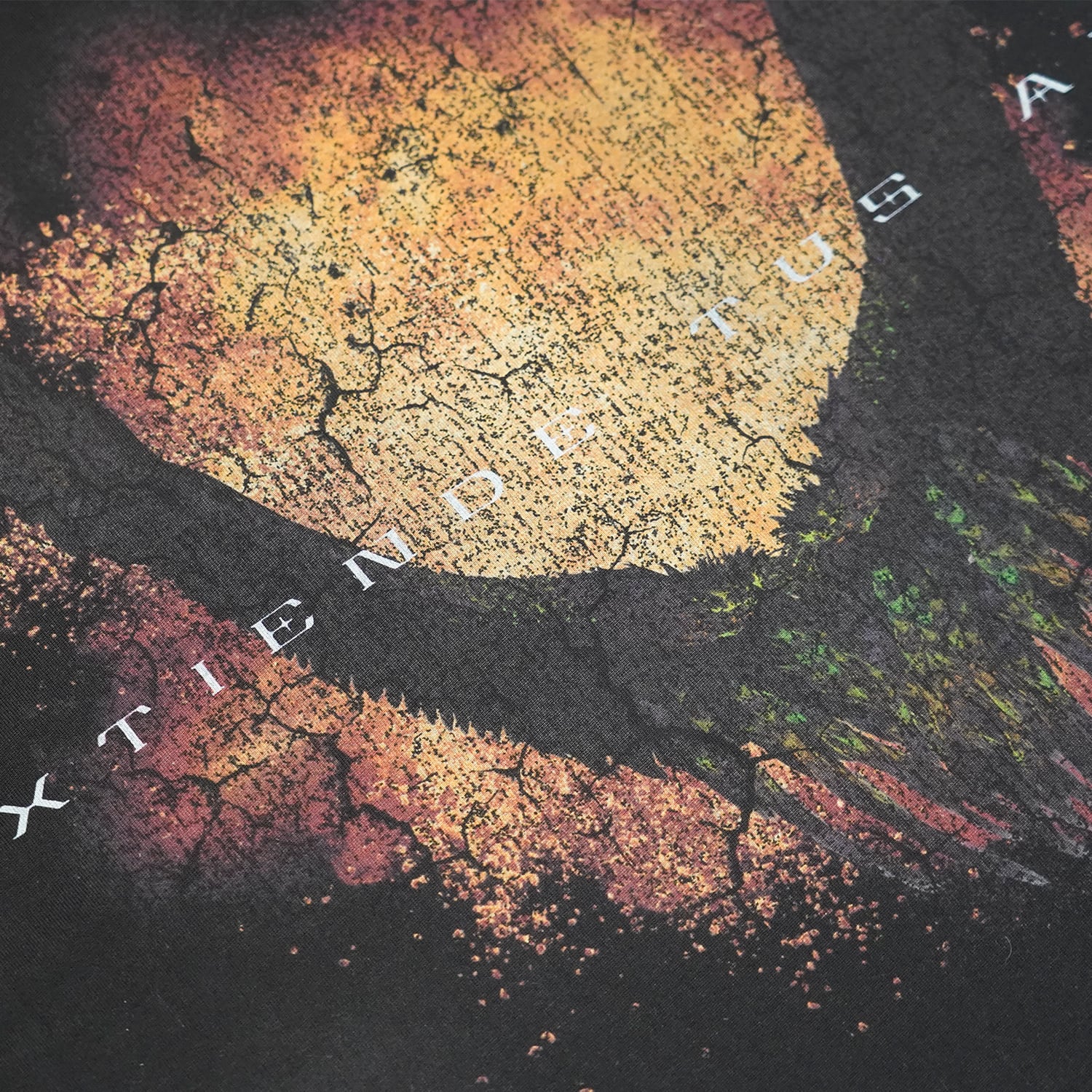 T.C.R SPREAD YOUR WINGS S/S TEE - BLACK