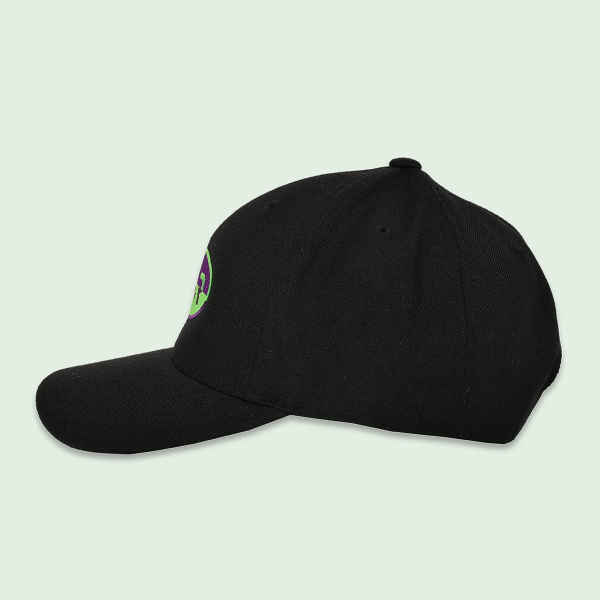 T.C.R CAPSULE EMBROIDERY CAP - BLACK/GREEN/PURPLE