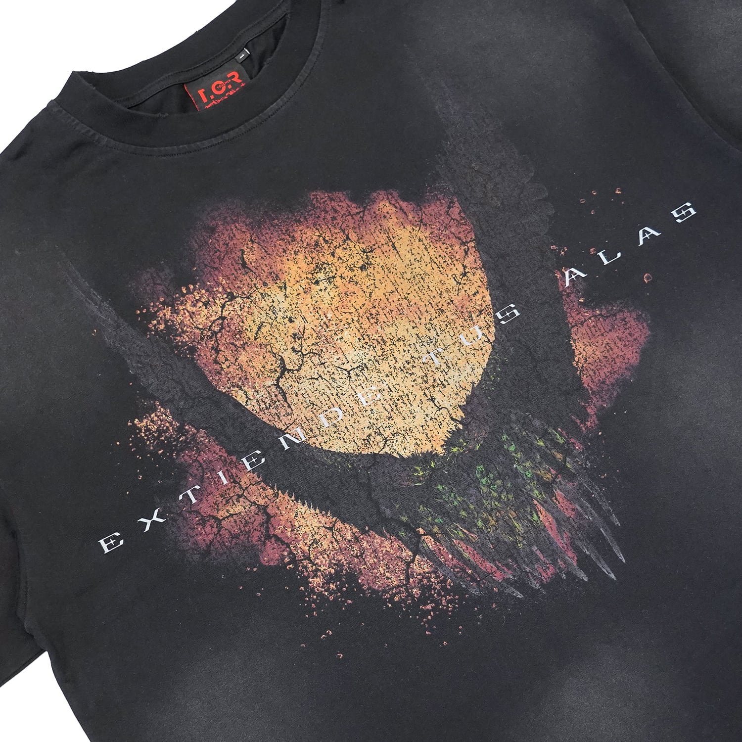 T.C.R SPREAD YOUR WINGS S/S TEE - BLACK